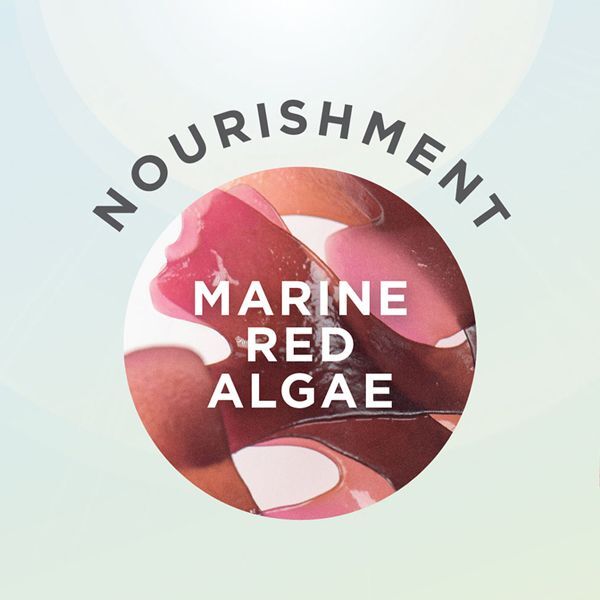 Sally Hansen Good Kind Pure Nail Polish - Natural Spring