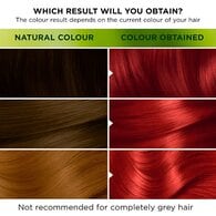 Garnier Nutrisse Ultra Permanent Hair Dye Fiery Red 6.60
