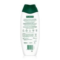 Palmolive Coconut Shower Gel