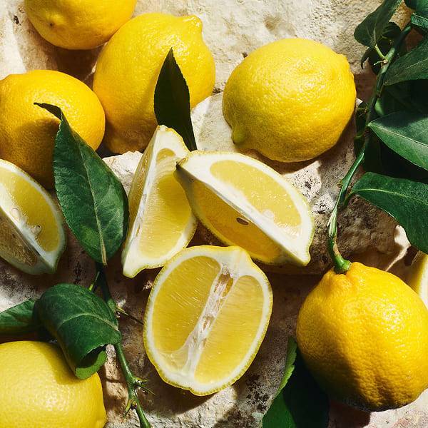 Dolce & Gabbana Light Blue Eau De Toilette 50ml for Her