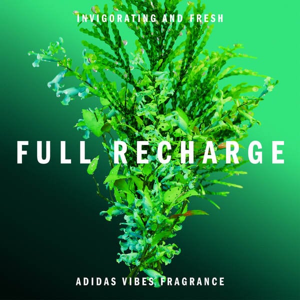 adidas Vibes Full Recharge Eau de Parfum, For All, 100ml
