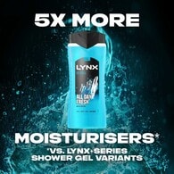 Lynx Bodywash Shower Gel Ice Chill 500ml