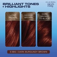 Clairol Nice'n Easy Hair Dye 3.5BG Dark Burgundy Brown