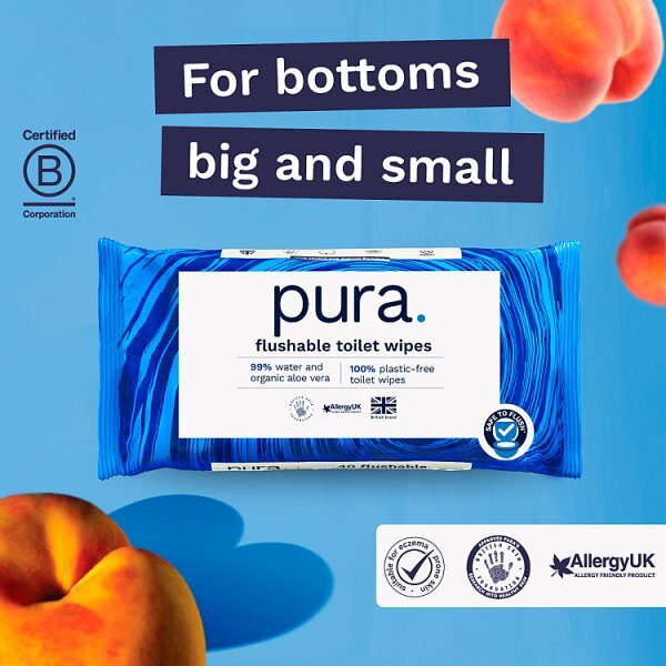 DNR Pura Premium Flushable Moist Toilet Tissue Wipes, 40 Wipes