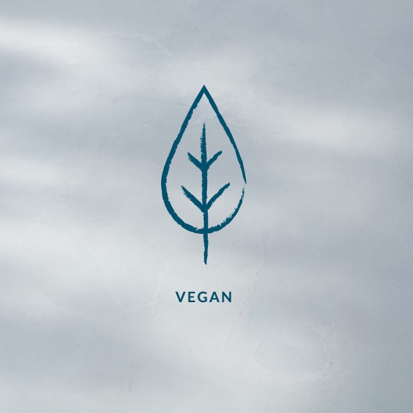 DHC Velvet Skin Coat 15g