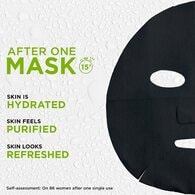 Garnier SkinActive Charcoal and Algae Hydrating Sheet Mask