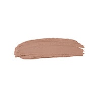 The Full Concealer 302