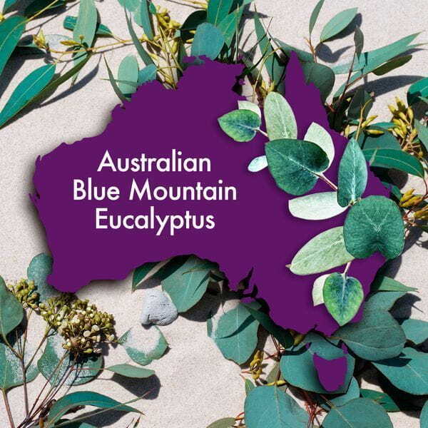 Aussie 3 Minute Miracle Reconstructor Hair Mask 250ml