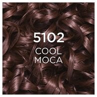 Casting Crème Gloss 510 Cool Mocha Semi-Perm Hair Dye