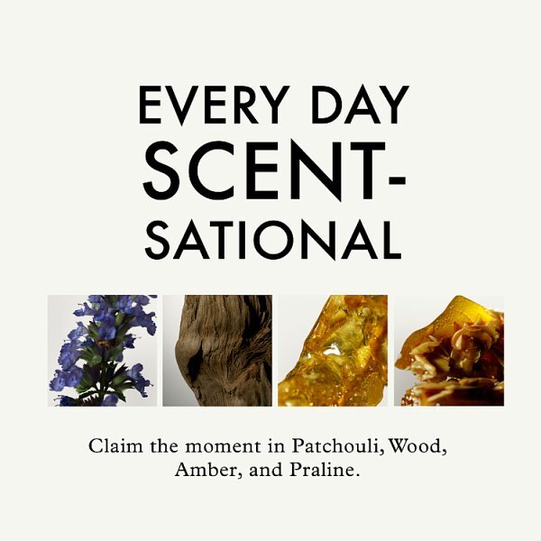 John Frieda Frizz Ease The Hydro Sealer Moisture Serum 50Ml