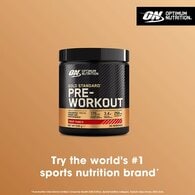 Optimum Nutrition Fruit Punch Gold Standard Pre-Workout 330g