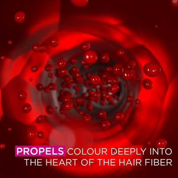 Garnier Olia 4.62 Dark Garnet Red Permanent Hair Dye