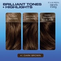 Clairol Nice'n Easy Hair Dye 4 Dark Brown