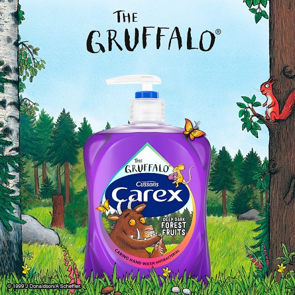 Carex Fun Editions Gruffalo Forest Fruits Handwash 250Ml