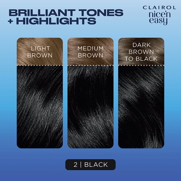 Clairol Nice'n Easy Hair Dye 2 Black