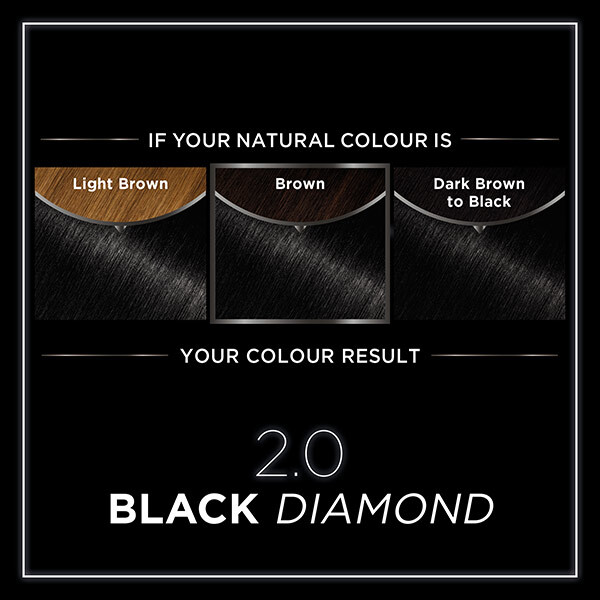 Garnier Olia 2.0 Black Diamond Permanent Hair Dye