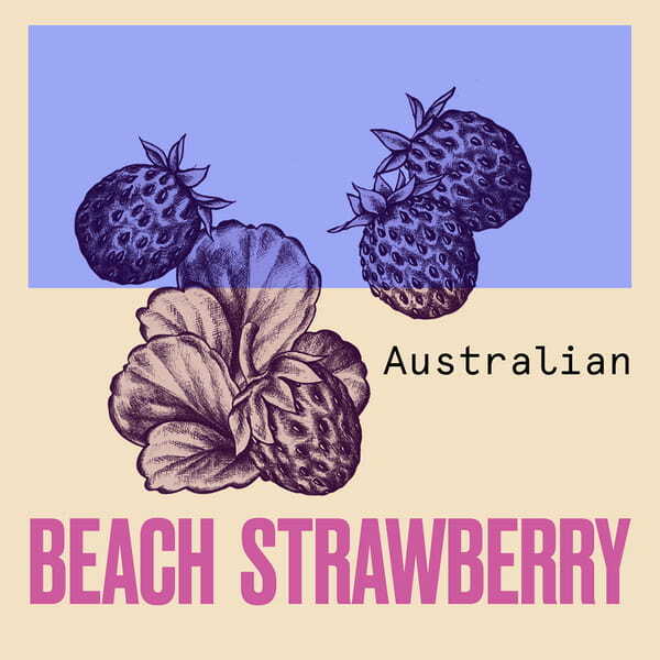 Aussie 3 Minute Miracle Shine Deep Treatment Hair Mask 250ml