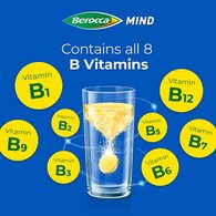 Berocca Mind Citrus 15 Effervescent Tablets