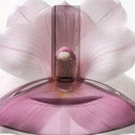 Calvin Klein Euphoria for Her Eau de Toilette 100ml