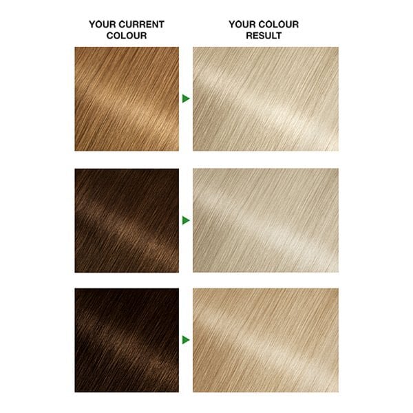 Garnier Nutrisse Ultra Blonde D+++ Bleach Lightener Permanent Hair Dye