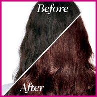 Casting Crème Gloss 323 Dark Choc Brown Semi Perm Hair Dye