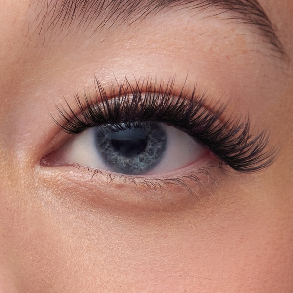 KISS Impress Falsies Starter Kit  - Classic Wispy