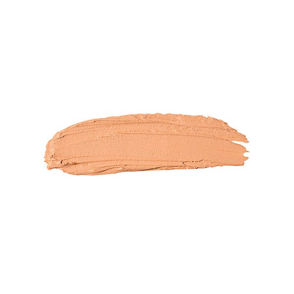 The Full Concealer 306