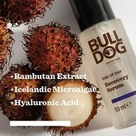 Bulldog Skincare End of Day Recovery Serum 50ml