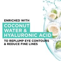 Garnier Eye Sheet Mask Hyaluronic Acid And Coconut Water 6g