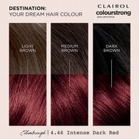 Clairol Colour Strong Zero Ammonia Hair Dye Intense Dark Red