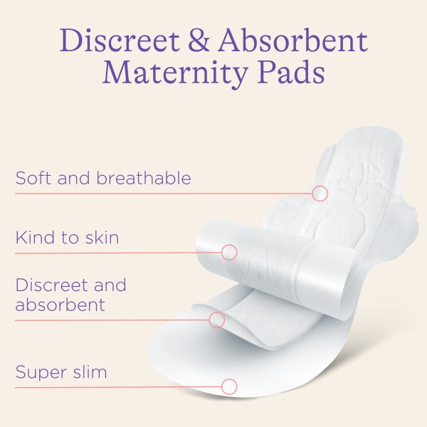 Lansinoh Discreet & Absorbent Maternity Pads, Pack Of 12