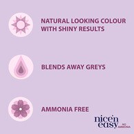 Clairol Nice'n Easy No Ammonia Hair Dye, 82 Dark Warm Brown