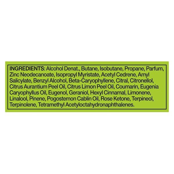 Lynx Deodorant Bodyspray Aerosol Epic Fresh 250ml
