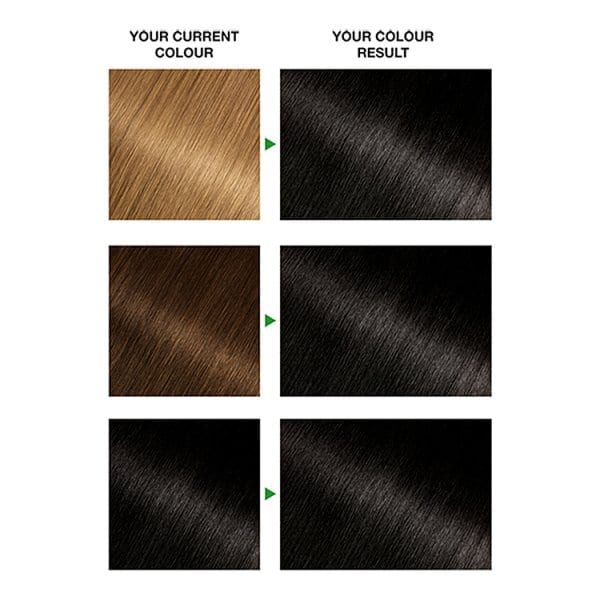 Garnier Nutrisse 1 Black Permanent Hair Dye
