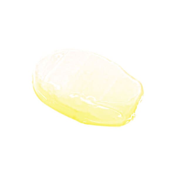 Unleashia Sunset Dazzle Gloss Balm No.0 Waikiki