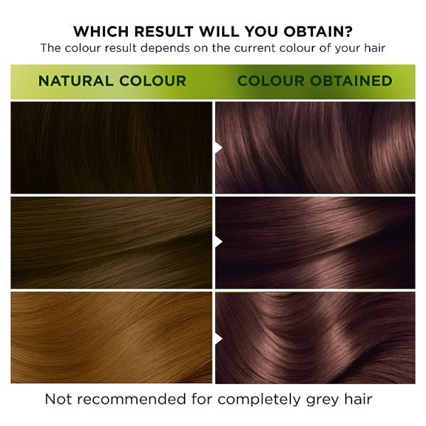 Garnier Nutrisse 4.15 Iced Coffee Brown Permanent Hair Dye