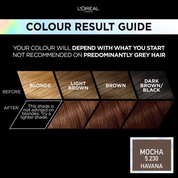 Preference Vivids (Colorista) Hair Dye Mocha 5.23