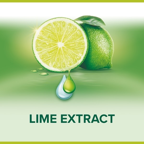 Palmolive Hygiene-Plus Antibacterial Liquid Handwash 300ml