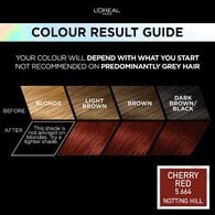 Preference Vivids (Colorista) Hair Dye Cherry Red 5.66