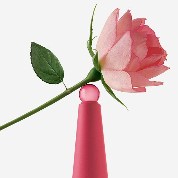Issey Miyake Rose & Rose Eau de Parfum 50ml