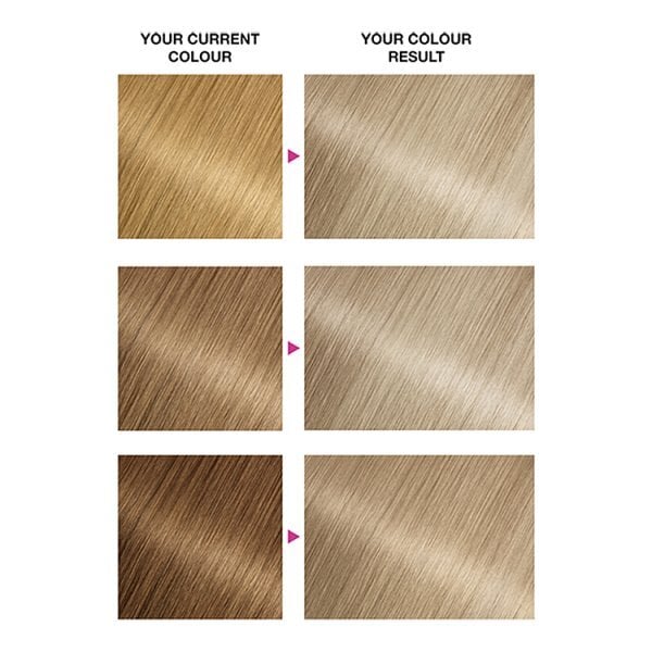 Garnier Nutrisse 10.1 Ice Blonde Permanent Hair Dye