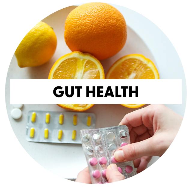 holistic-category-grid-gut