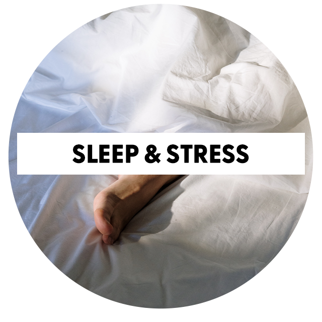 holistic-category-grid-sleep