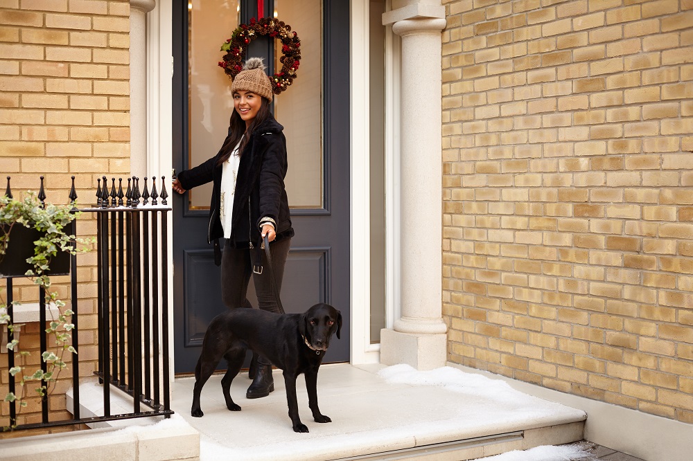 christmas-dog-walk-snow-get-fresh-air-frount-door-step-model