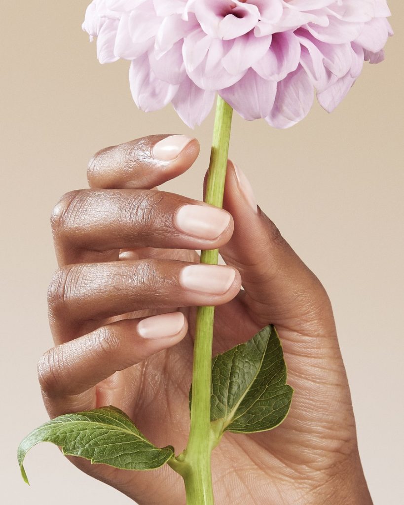 Subtle clean nails on hand holding a purple flower.