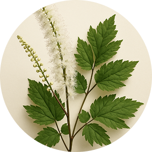 Black Cohosh
