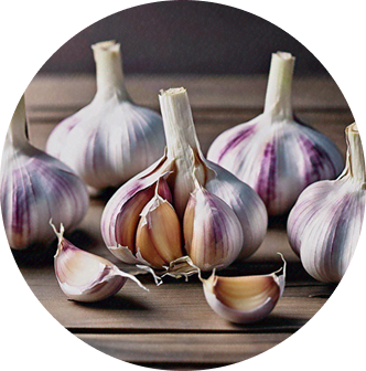 Garlic