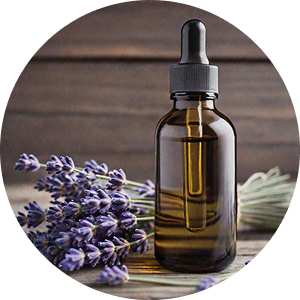 Lavender Oil